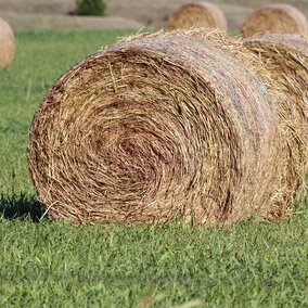 hay bales