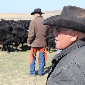 Ranch Manager