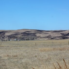 Sandhills wildfire