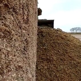 Silage pile.