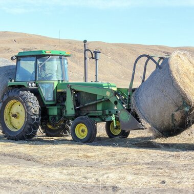 Meadow hay bales
