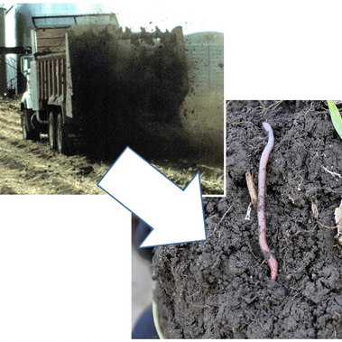 Photos of manure application and close up of soil