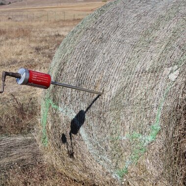 tester in a hay bale