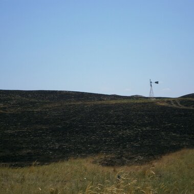 Burned pastures after a wildfire (Photo credit: Bethany Johnston)