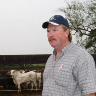 Dr Rick Funston with cattle