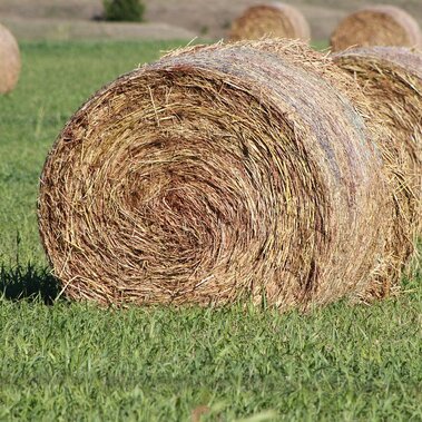hay bales