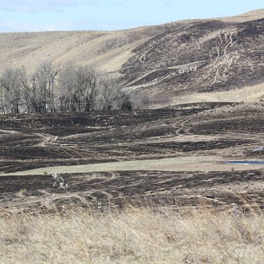 Sandhills fire