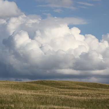 Rangeland