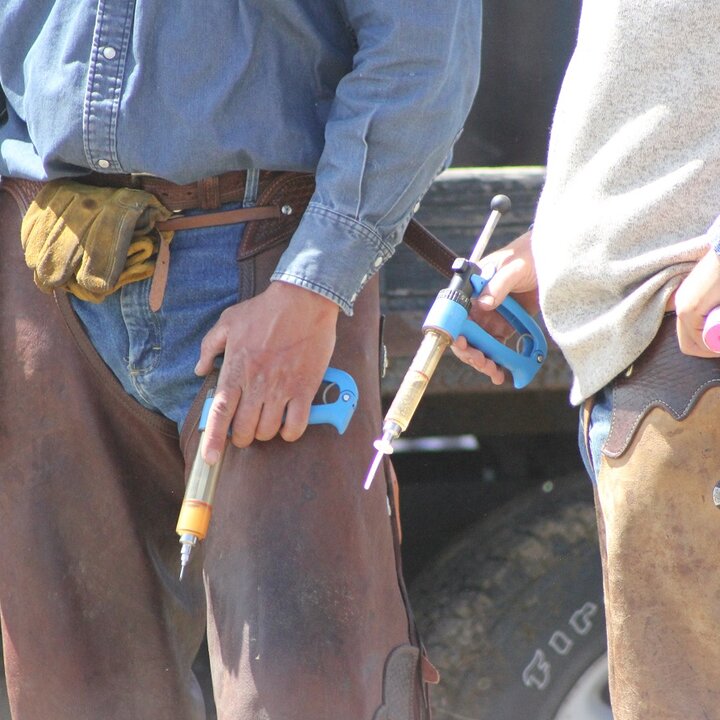 Vaccines ready to be given at a branding. Photo credit: Troy Walz