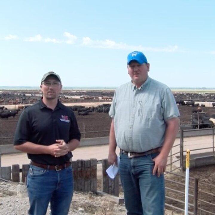 link to Calf Health Management on Arrival â Producer Perspective