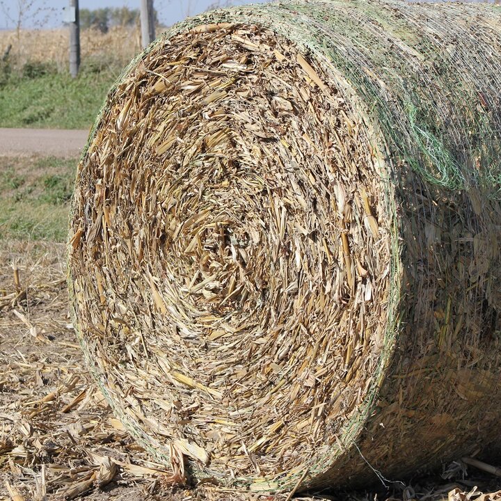 cornstalk bale