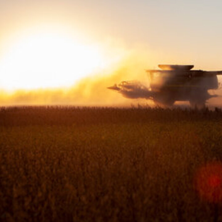 Combine harvesting crops at sunset, glowing sunlight and dusty field in the foreground.
