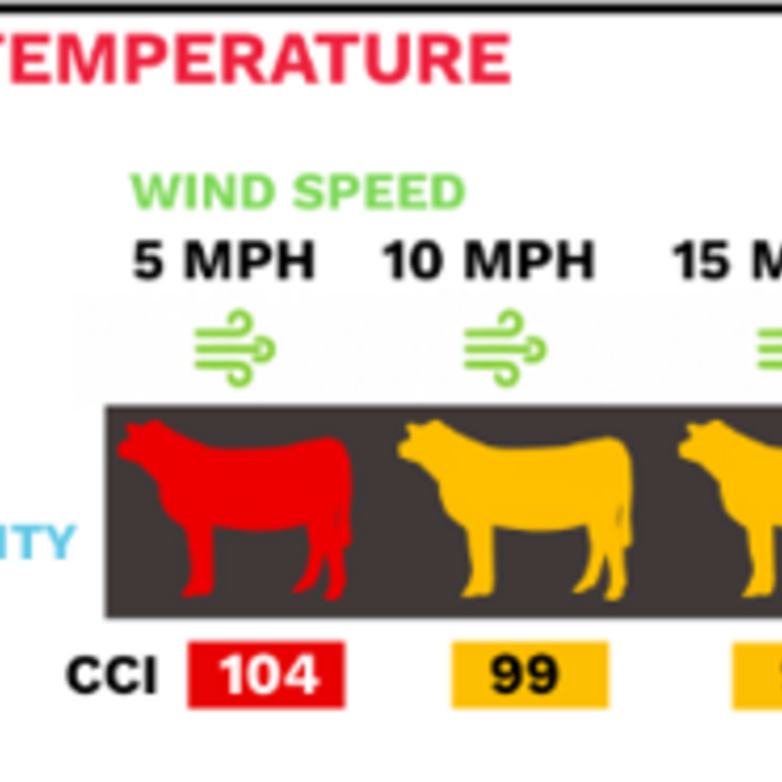 Cattle Comfort Index