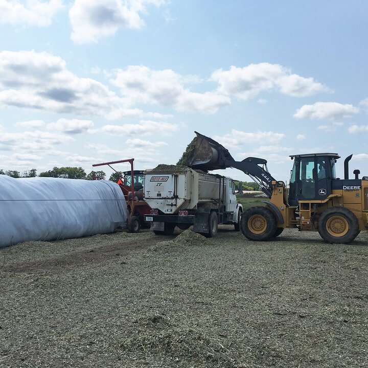 Sorghum silage bagging