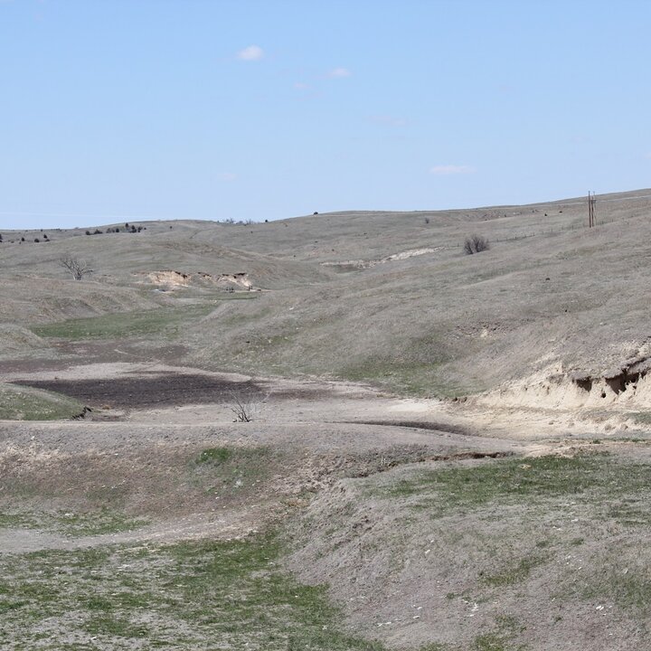 Dry pastures due to drought