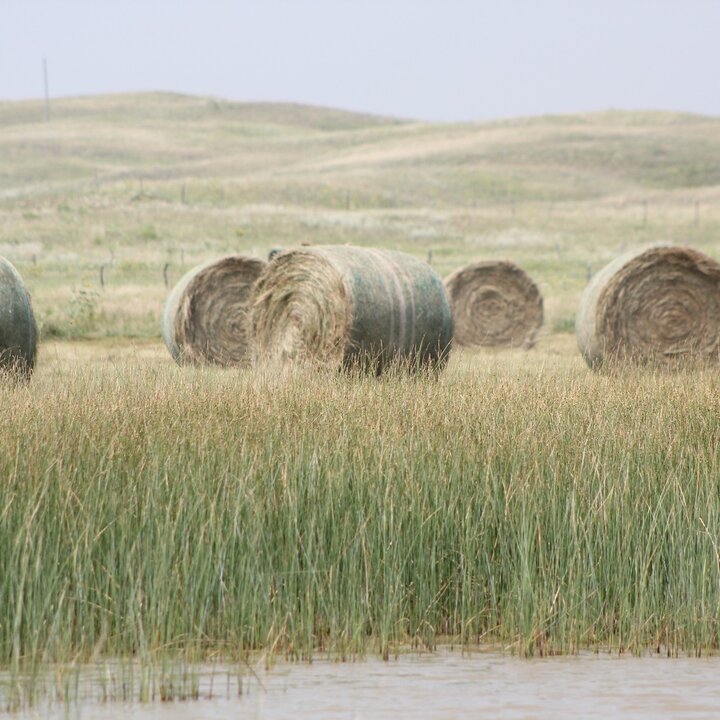 hay bales