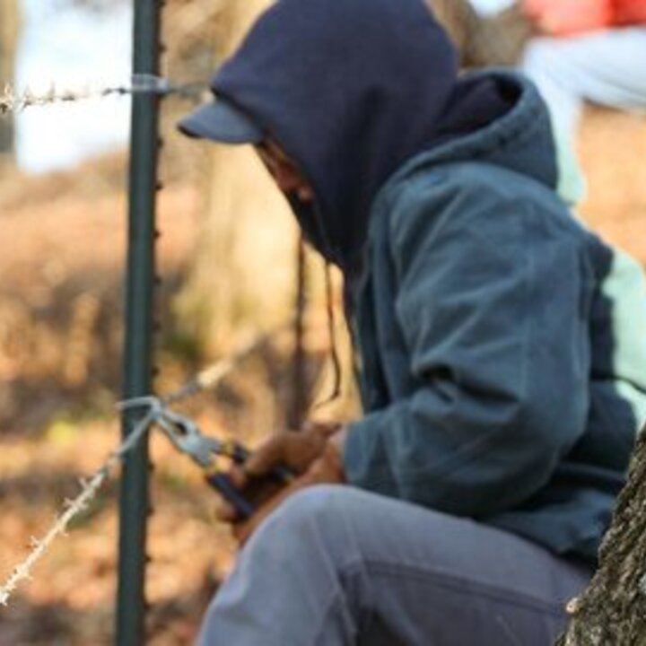 Worker with pliers fixing fence kneeling by a tree.