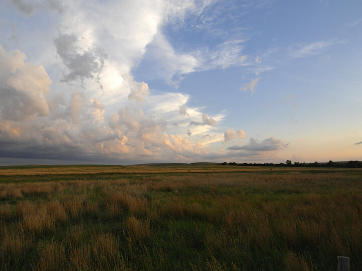 Sandhills cattle ranch. Photo by Brett Hampton/University Communications.
