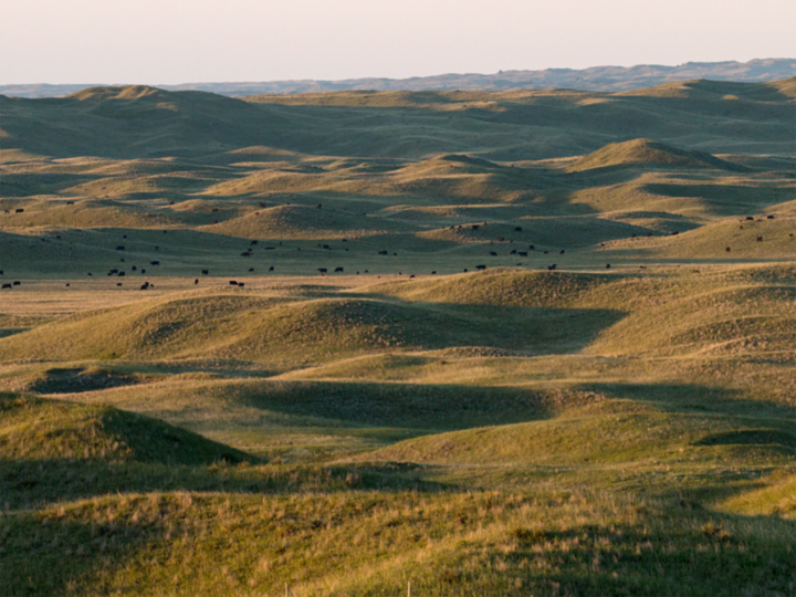 Nebraska Sandhills