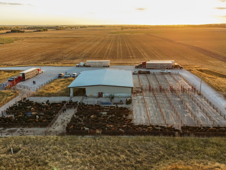 Klosterman Feedlot Innovation Center