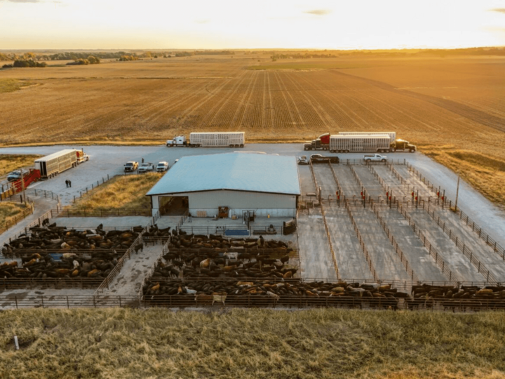 overhead photo of the Klosterman Feedlot Innovation Center