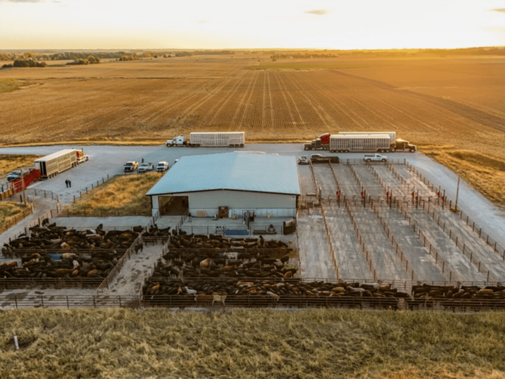 Klosterman Feedlot Innovation Center