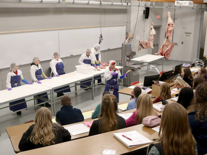 Jordan Wicks leading an extension program about breaking down a beef carcass