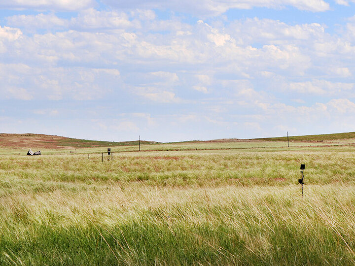 Panhandle Experimental Range