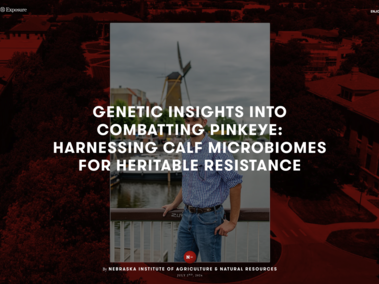 Drew Lakamp with words saying "genetic insights into combating pinkeye: harnessing calf microbiomes for heritable resistance"