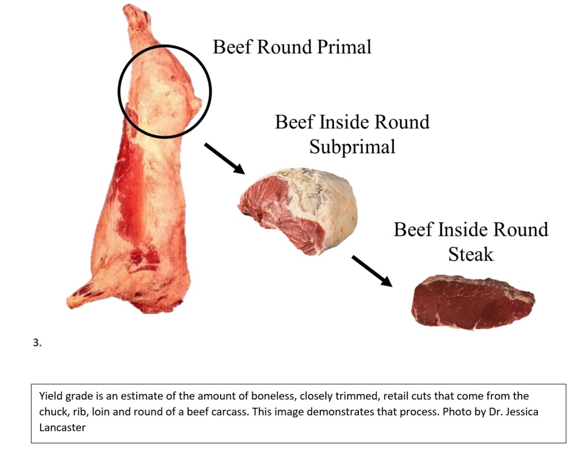 Determining Value of Beef Through Grading | UNL Beef | Nebraska