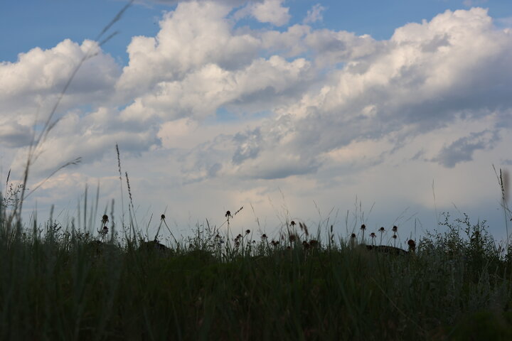 a pasture with clouds in the background