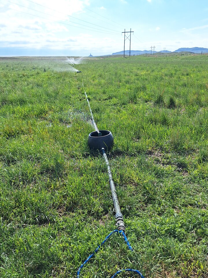 Irrigation system