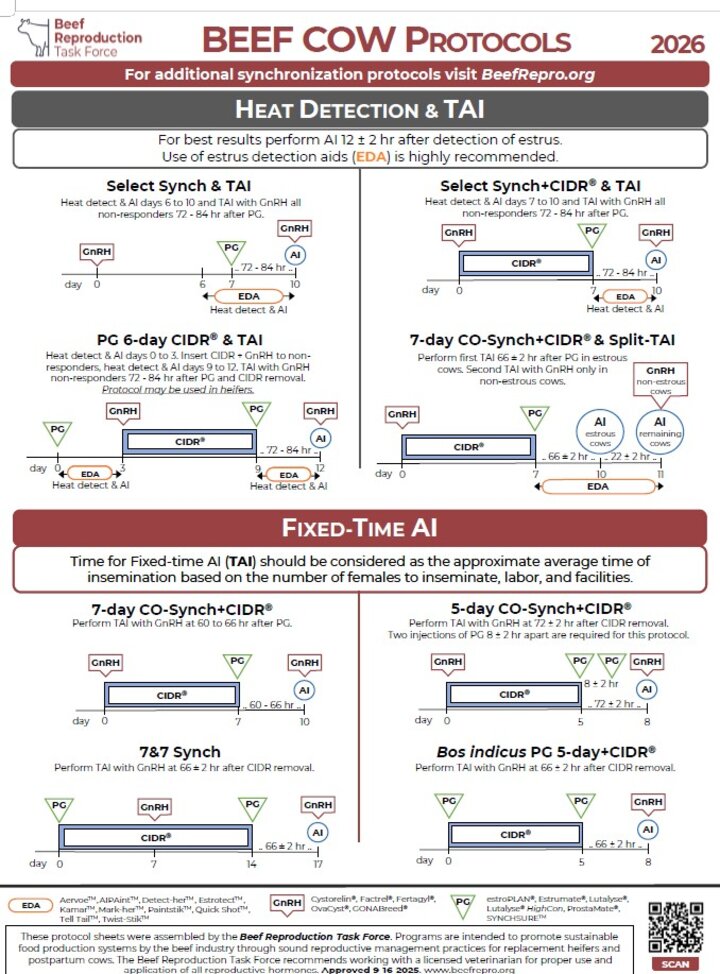 Protocols to synchronize estrus can be found at beefrepro.org.  This example shows the protocols for beef cows.