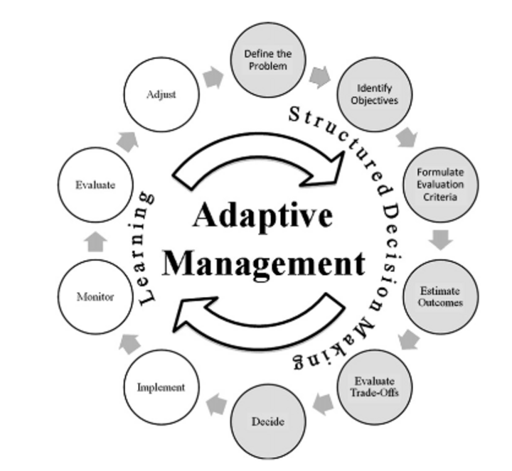 Adaptive Management graphic