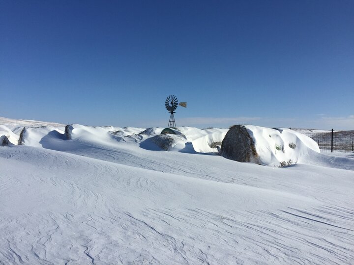 Bales with snow