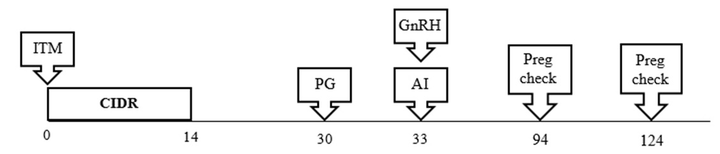 Protocol Graph
