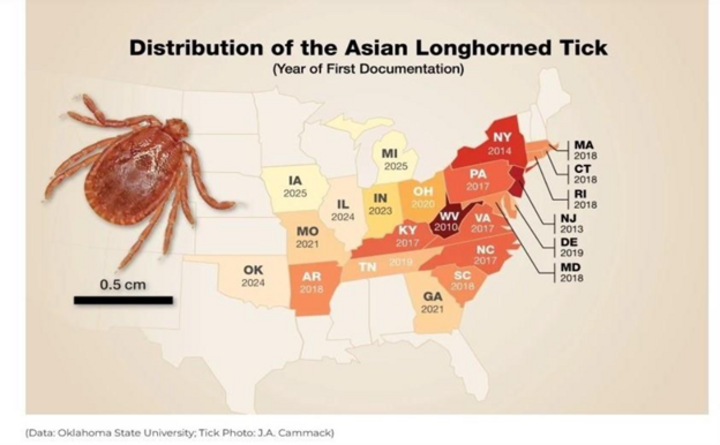 Map showing spread of Asian Longhorned Ticks