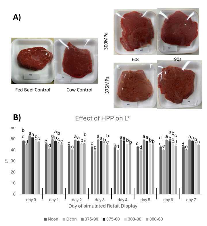Figure 1. Effects of high-pressure processing (HPP) of cull cow tenderloins on (A) surface color  on day 0 of retail display and (B) L* (i.e., lightness) values over 7 days of retail display. Treatments as defined: Ncon = Normal Non HPP Control; Dcon = Dark Non HPP Control, 300-60 = 300MPa for 60s, 300-90 = 300 MPa for 90s, 375-60 = 375MPa for 60s, 375-90 MPa for 90s. Least-square means with different superscript letters (a – e) differ (P < 0.05).