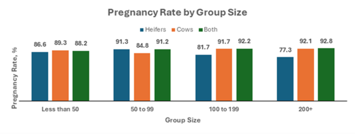 Pregnancy Rate by Group Size Chart