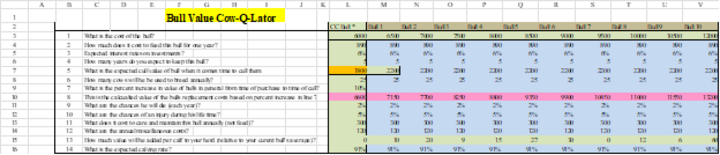 Figure 1 shows screenshot of Bull Value Cow-Q-Lator