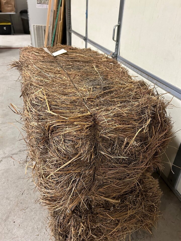 A square bale harvested in the 1940's still has good forage value, due to the dry storage conditions.