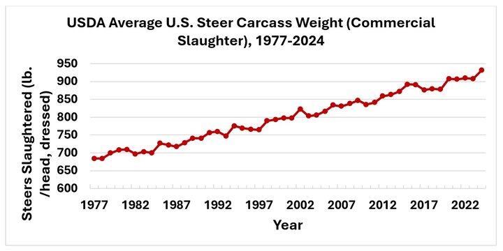 Carcass weights trend up