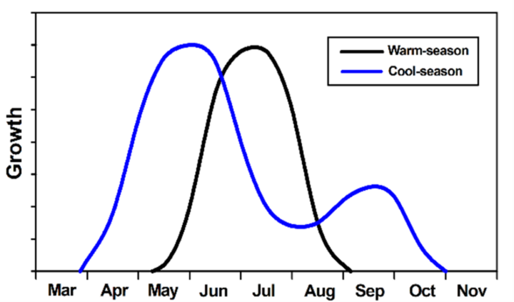 Figure. 4 Annual growth curve of warm- and cool-season grasses. From NebGuide G1502, Perennial Forages for Irrigated Pastures. Cool-season grasses growth peaks in April/May then drops, with a small peak in October.  Warm-season grasses growth peaks in July.