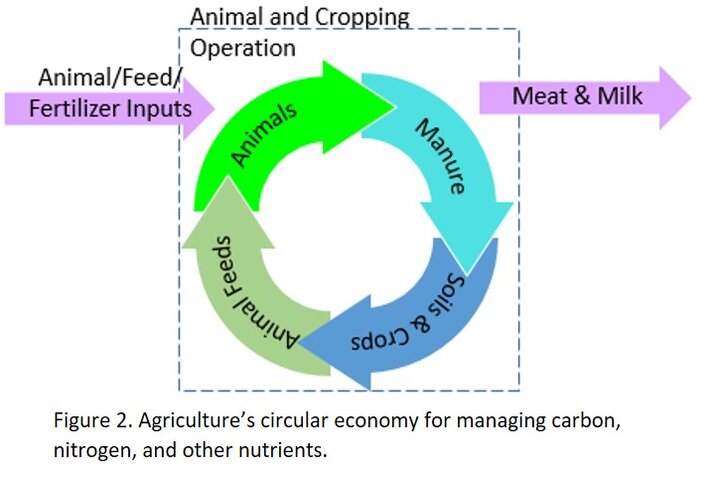 Circular economy figure