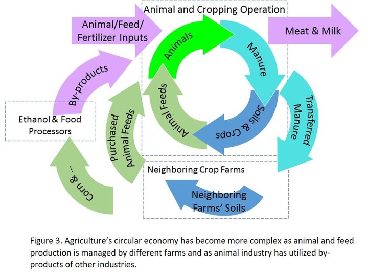 Circular economy figure