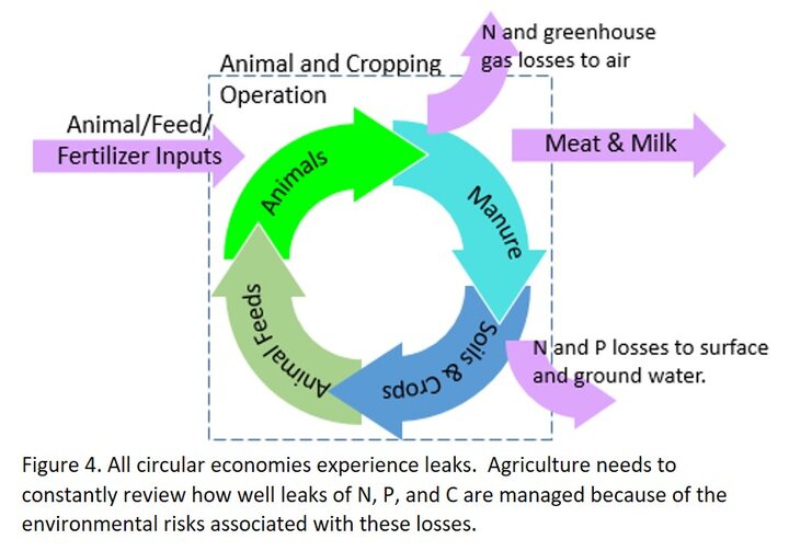 Circular economy figure