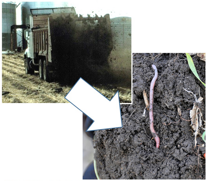 Photos of manure application and close up of soil