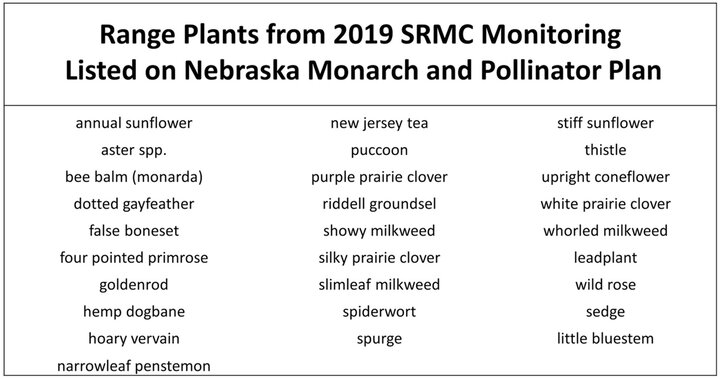 Pollinator plants