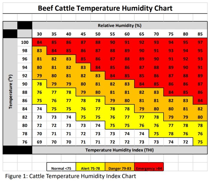 Temperature Humidity Chart