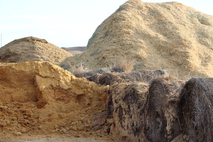 Modified distillers grains and ground hay